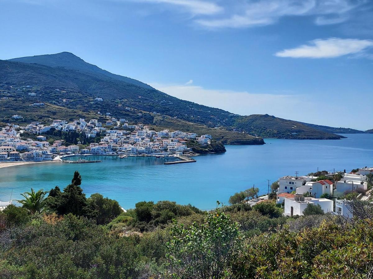 Villa Arni Andros - Βίλα Αρνη Батси Экстерьер фото