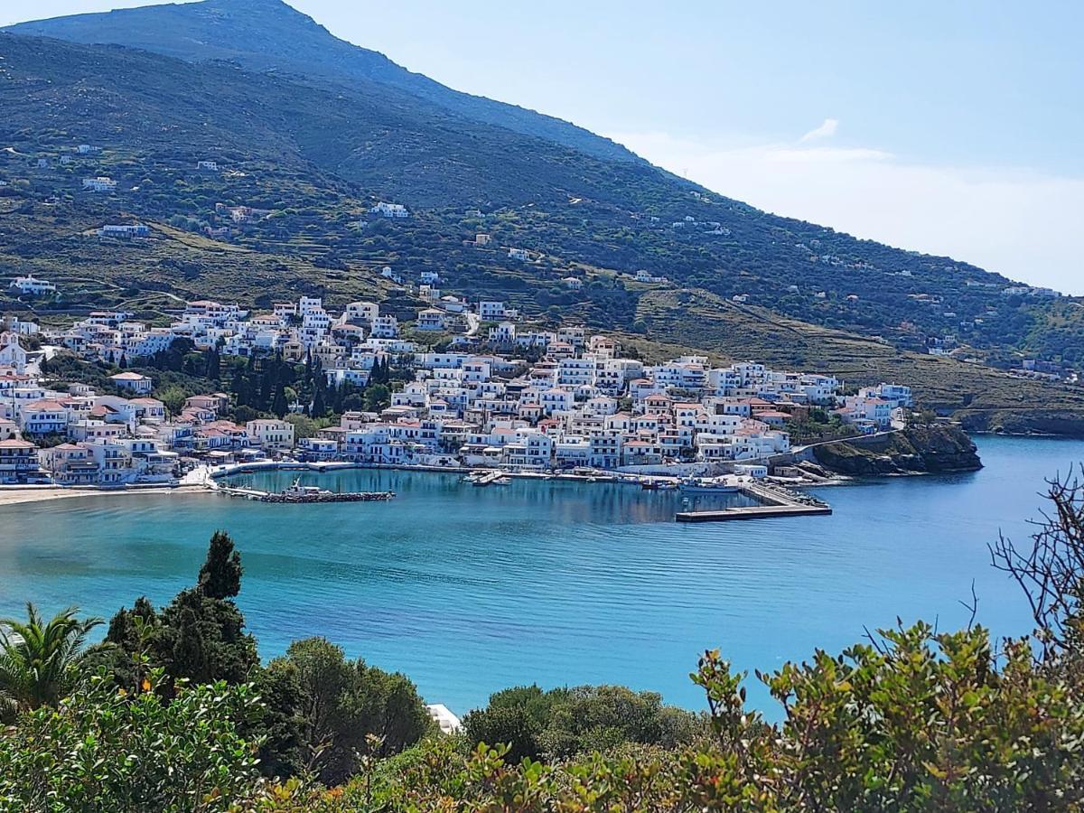Villa Arni Andros - Βίλα Αρνη Батси Экстерьер фото