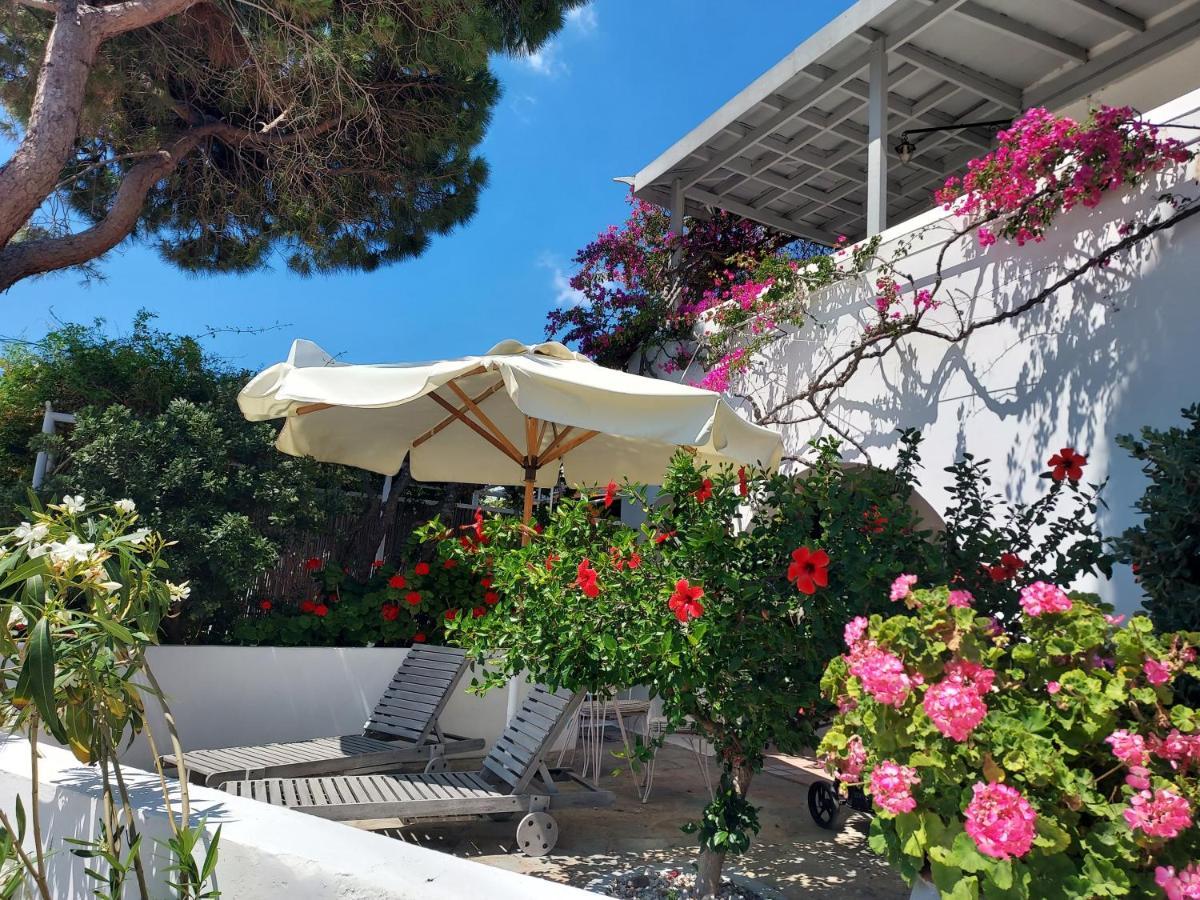 Villa Arni Andros - Βίλα Αρνη Батси Экстерьер фото