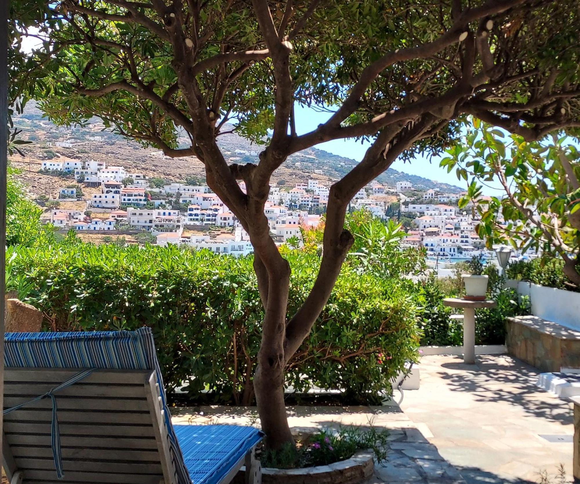 Villa Arni Andros - Βίλα Αρνη Батси Номер фото
